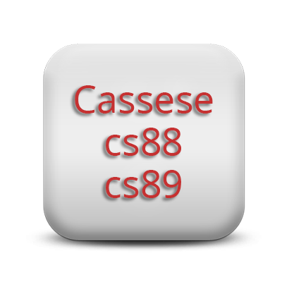 Cassese 88 89 