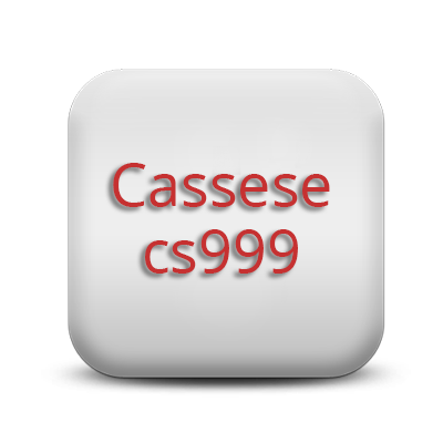 Cassese Cs999