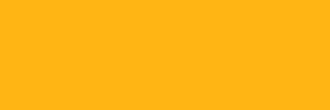 NS BG